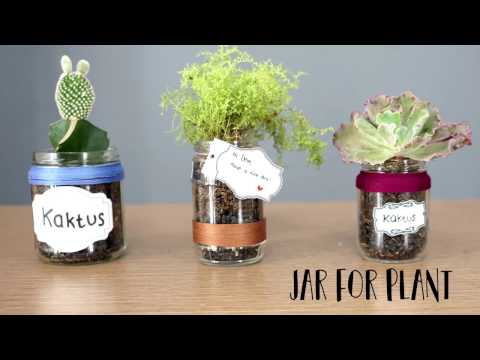 yootips:-jar-for-plant-(toples-untuk-tanaman)-#1