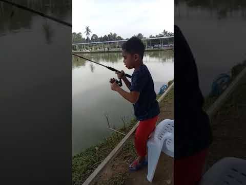 Kolam Pancing Mambau Rayyan Youtube