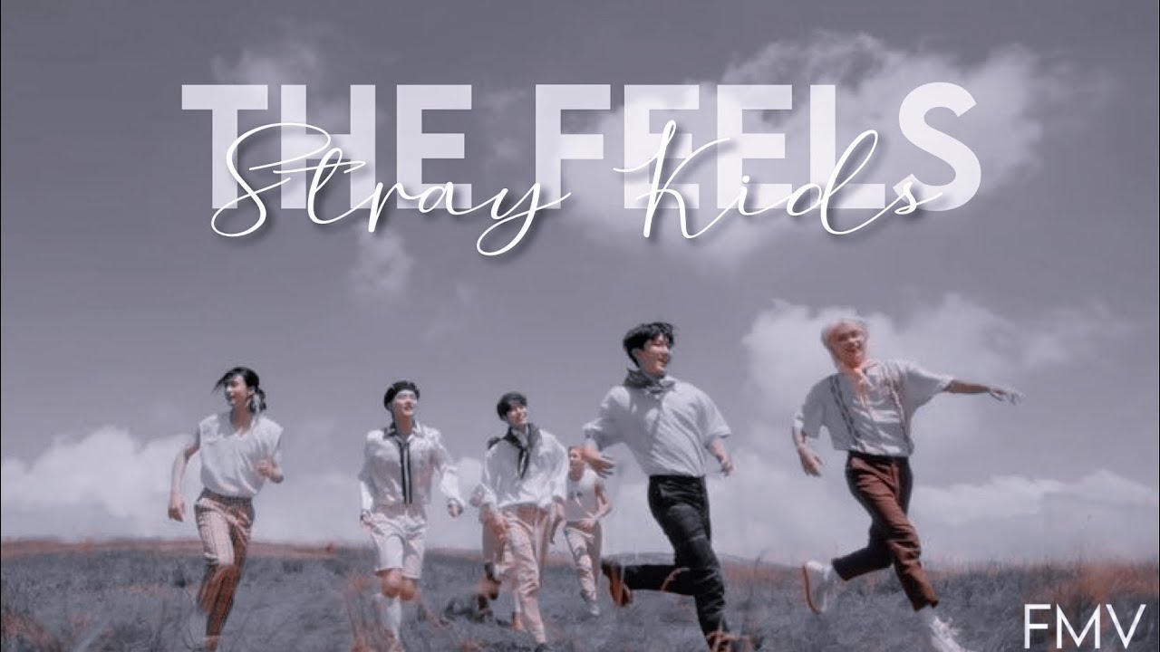 Stray Kids — The Feels «FMV»