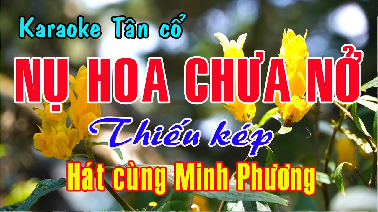 Karaoke tân cổ NỤ HOA CHƯA NỞ - THIẾU KÉP [Hát cùng Minh Phương]