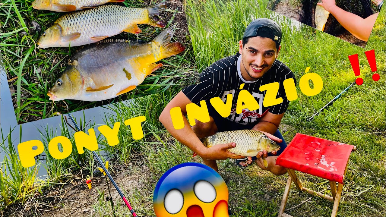 Spártai Kemál - Ponty🐟invázió😱‼️Kaland (3)😊