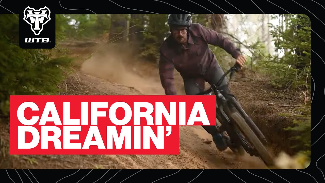 California Dreaming with Shawn Neer 