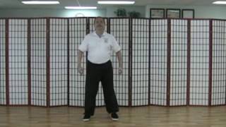 Medical Qigong:  Soothe the Lung Gong screenshot 3
