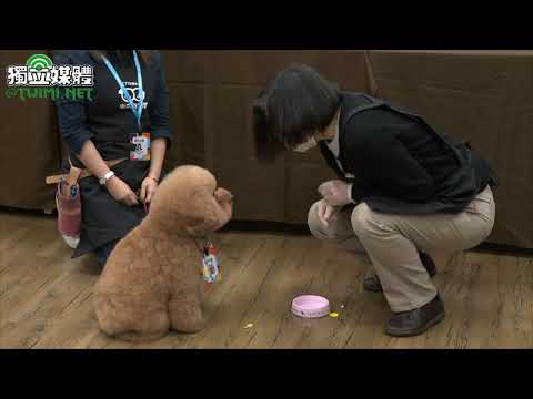 料理毛小孩年菜初登場 蔡英文呼籲飼養不棄養