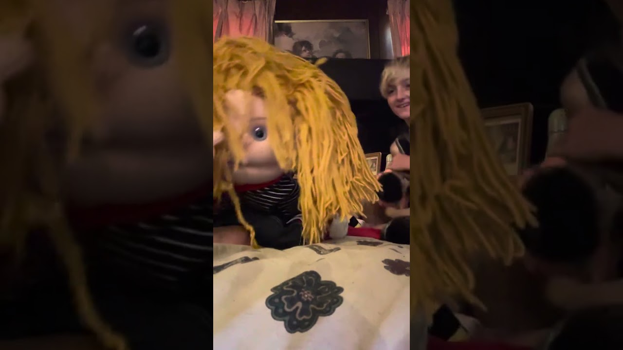 Chefpp and juniors new cat prince 