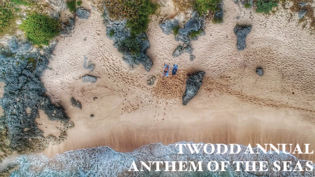 Twodd Anual 2020 - "Anthem Of The Seas"