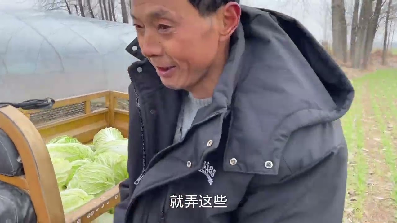 老丈人苹果卖完准备回陕西，为了省高速过路费，拉半车白菜走绿通 #农村生活 #我的乡村生活 #日常vlog #老丈人和女婿