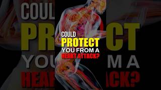 This Gut Molecule Could Prevent Heart Attacks