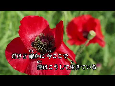 【カラオケ】人は夢を二度見る/乃木坂46【オフボーカル メロディ有り karaoke】