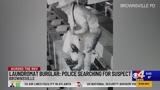 Brownsville PD: 1 wanted for laundromat burglary, escaped through roof