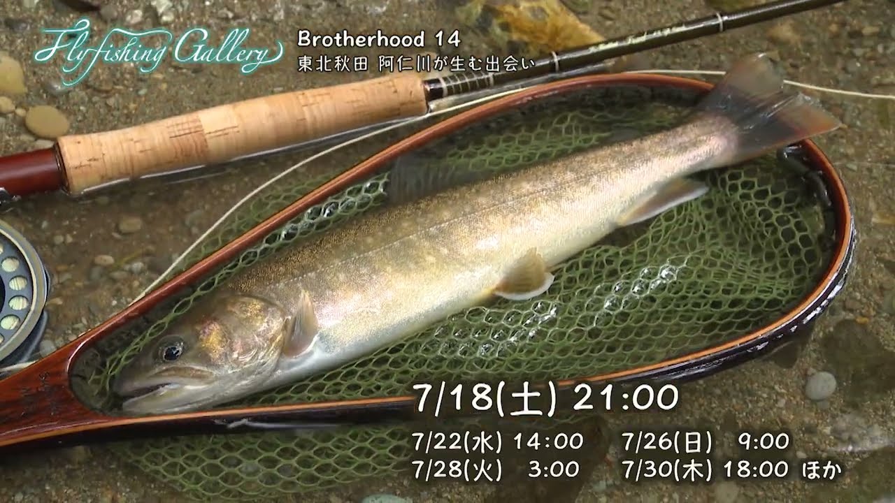 YouTube_AznlcU3KDy4サムネイル