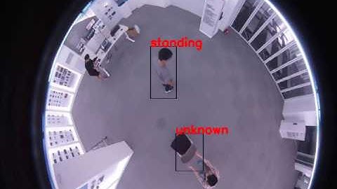 Human Behaviors Under IP Fisheye Camera