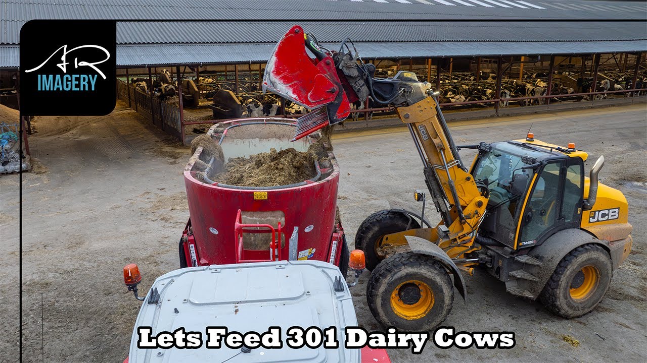 Lets Feed 301 Dairy Cows at Crosshead Farms