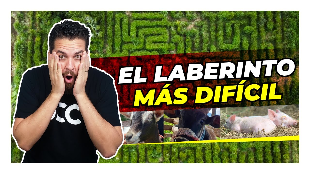 😵 Visitamos el Laberinto más Difícil de Costa Rica 😵‍💫 Laberinto Olivo ...