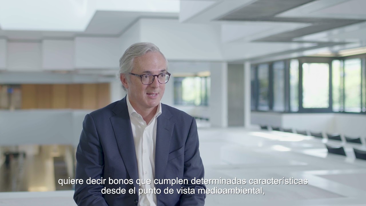 Emisiones de deuda: la relevancia de los bonos ESG