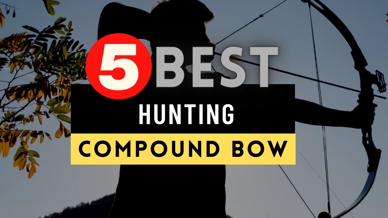Best Compound Bow for Hunting 2022 🔶 Top 5 Compound Bow Reviews YouTube