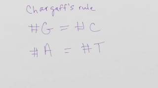 Sec III Chargaff's rule and DNA structure