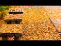 「秋時雨(あきしぐれ)」『おやさと百景』(44)