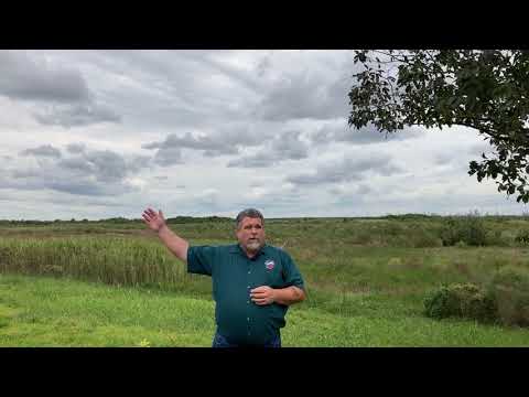 Encore Excursion | The Battle of San Jacinto