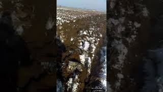 John Deere 4240S Cu Plug Romanesc Cu Cinci Brazde Modificat Din Pp4