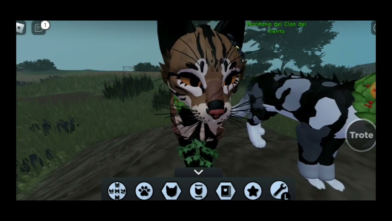 BUSCANDO A BLINK Caza de Npcs Wcue Roblox Katsuki The Fox