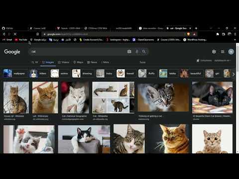 CS50 Web Programming - Project 0: Search