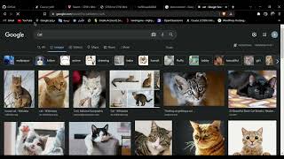CS50 Web Programming - Project 0: Search