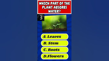 Science quizz 1.9  #triviatime #sciencequiz #riddles #triviaquest #sciencetrivia #science