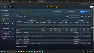 Tally XML Integration - Stock Summary