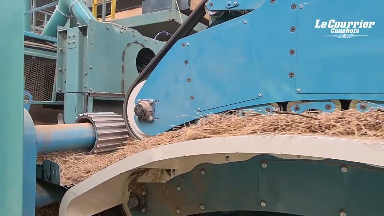 Visite du groupe linier Depestele au Bocasse