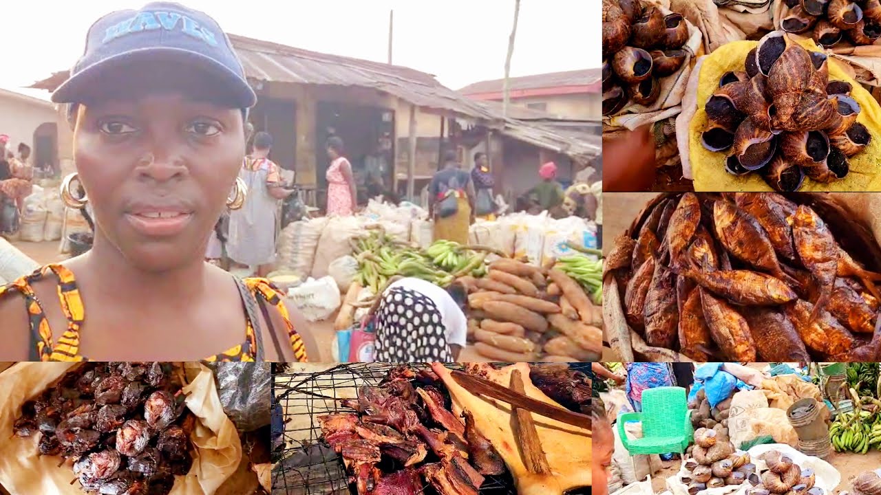 COME WITH ME TO NIGERIA VILLAGE MARKET || BUSHMEAT SNAIL AND DRY RIVER FISH