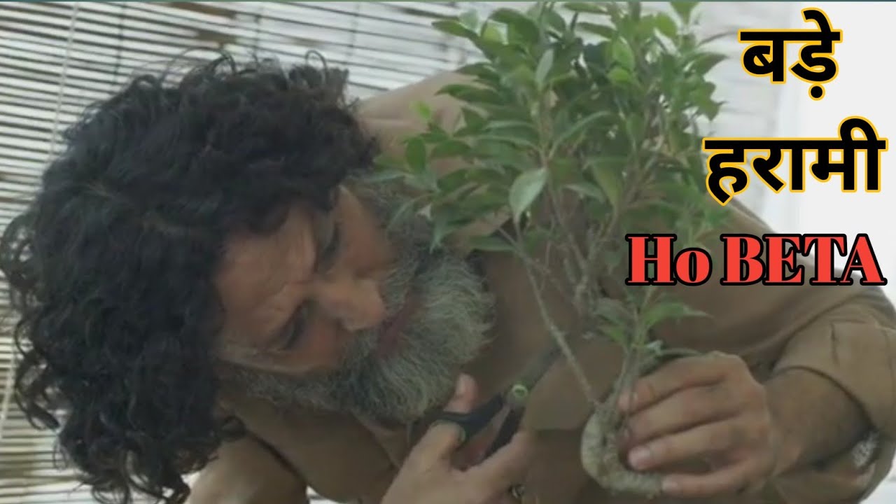 Mirzapur dialogue Bade Harami Ho Beta Scene  ||  Munna Bhaiya ||