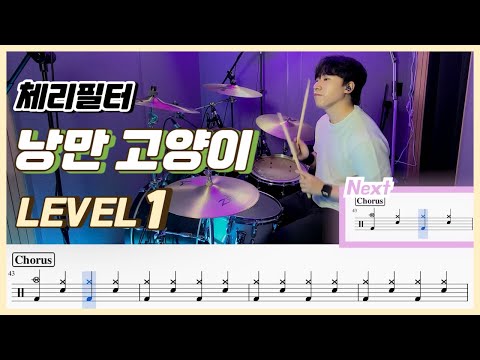 낭만고양이 (Lv1) - 체리필터