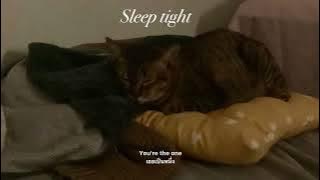 little person — Matt Maltese ( thaisub ) 🌕🐈