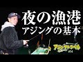 アジング釣り方の基本！夜の漁港《 アジングトラベル vol.14 》