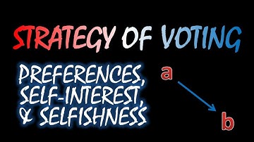 The Strategy of Voting: Preferences, Self-Interest, and Selfishness