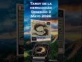 ♓♓piscis tarot 3 mayo 2026♓ #horoscopo #floresblancastarot #zodiaco #taromancia #gemini #tarot♓♓