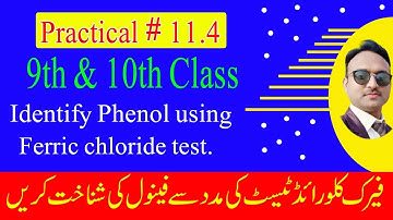 Identify Phenol using ferric chloride test - 10th Chemistry practical 11.4 - Phenol test