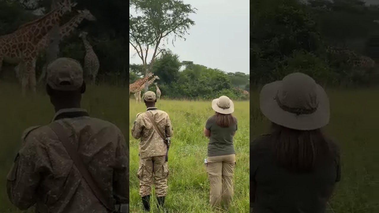 Experiencing Wildlife, Uganda, Mukisa Safaris Uganda from April R. 🦒