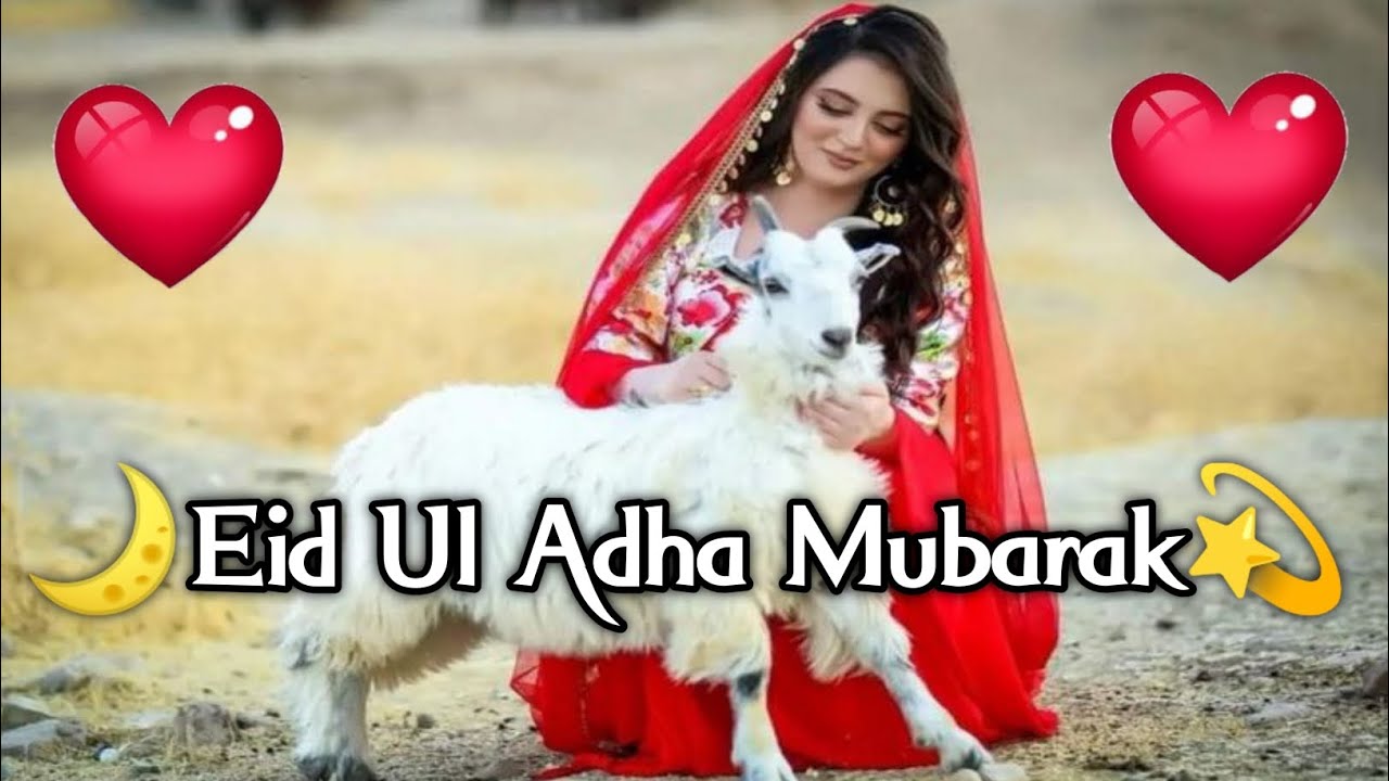 Eid Ul Adha Mubarak | Eid Mubarak Status