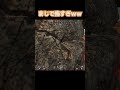 まじでホラゲーwww【APEX LEGENDS】#apex #short #shorts