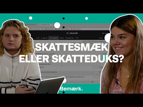 Skal du have penge tilbage i skat? Årsopgørelsen for 2020 ligger klar I Explainer: Pengeudfordringen