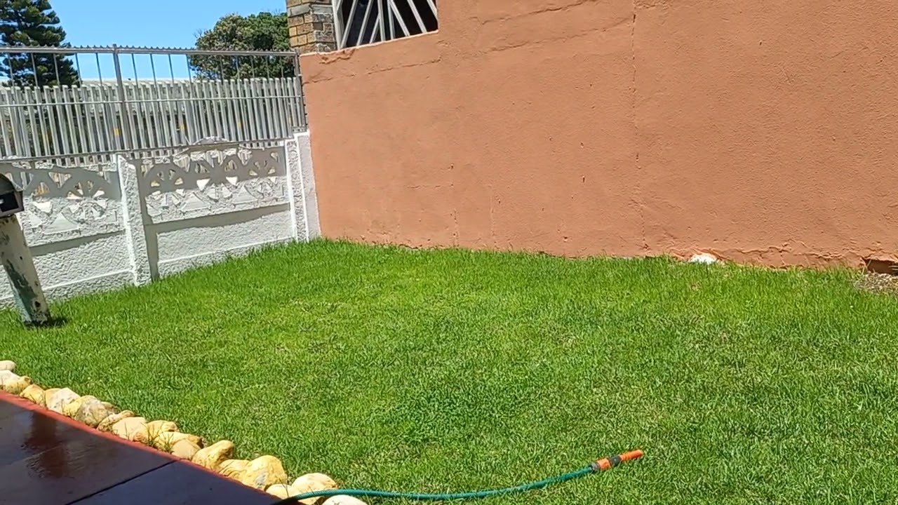 How I Keep My Grass Green My Other Hobbie I m No Expert just Know The Basics Enjoy YouTube