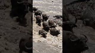 A água é um elemento fascinante da natureza. 17 #natureza #agua #mata #rio #natural #vida