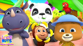 zoo song animal cartoon kindergarten nursery rhyme by loco nuts