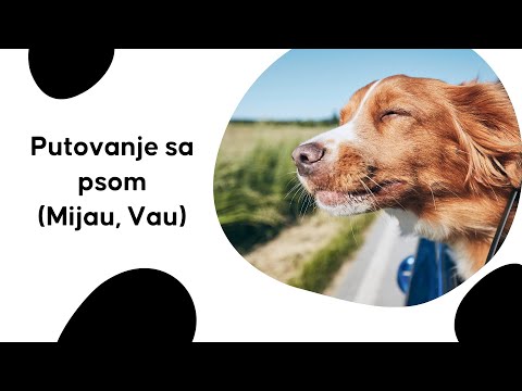 Video: Savjeti za putovanje s psom