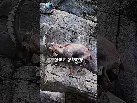 불가능해 보이는 절벽도 평범한 길