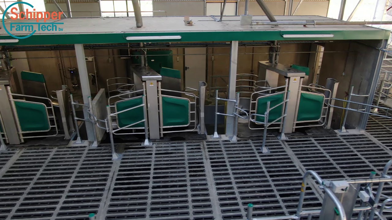 Melkstal met nieuwste GEA melkrobot bij familie Boks