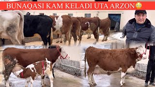 AKMALXON😱F✊MEN XAYRON QOLDIM E QOYIL MANA SIZGA OLIY SOʻRT ONA BOLA SIGIRLAR NARXI😳🥛🌨️🏃