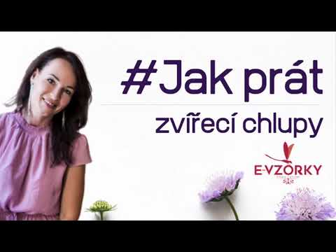 Video: Jak odstranit chloupky žaludku: 8 kroků (s obrázky)